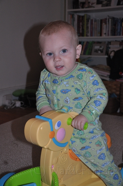 William's Fortieth Week 06.jpg